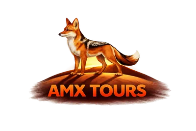 AMX Tours footer logo